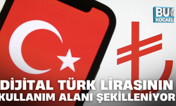 DİJİTAL TÜRK LİRASININ KULLANIM ALANI ŞEKİLLENİYOR