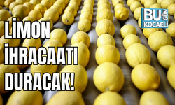LİMON İHRACAATI DURACAK!