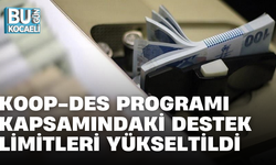 KOOP-DES PROGRAMI KAPSAMINDAKİ DESTEK LİMİTLERİ YÜKSELTİLDİ