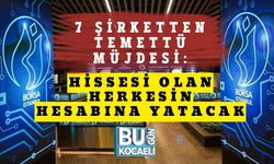 7 Şirketten Temettü Müjdesi: Hissesi Olan Herkesin Hesabına Yatacak