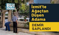 İzmit'te Ağaçtan Düşen Adama Demir Saplandı