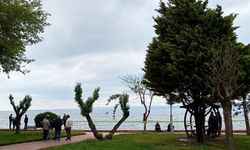 Kocaeli'de Kayalıklarda Erkek Cesedi Bulundu!