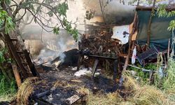 Kartepe'de Odunluk Alevlere Teslim Oldu