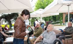 Kocaeli’nin Çınarları Dimdik Ayakta