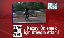Canını Hiçe Saydı, Kazayı Önlemek İçin Otoyola Atladı!