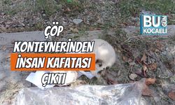 Çöp Konteynerinden İnsan Kafatası Çıktı