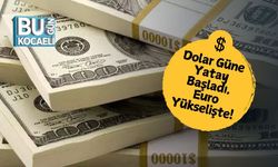 Dolar Güne Yatay Başladı, Euro Yükselişte! 8 Mayıs Döviz Kuru Tablosu