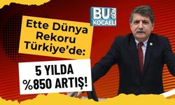 Ette Dünya Rekoru Türkiye’de: 5 Yılda %850 Artış!