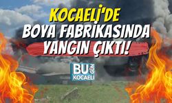 Kocaeli'de Boya Fabrikasında Yangın Çıktı!