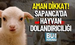 Aman Dikkat! Sapanca’da Hayvan Dolandırıcılığı