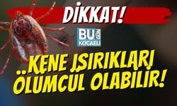 Dikkat! Kene Isırıkları Ölümcül Olabilir!