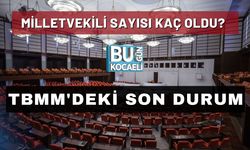 Milletvekili Sayısı Kaç Oldu? TBMM'deki Son Durum