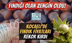 Fındığı Olan Zengin Oldu! Kocaeli’de Fındık Fiyatları Rekor Kırdı