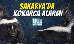Sakarya’da Kokarca Alarmı