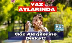 Yaz Aylarında Göz Alerjilerine Dikkat!
