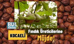 Kocaeli Fındık Üreticilerine Müjde!