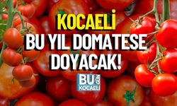 Kocaeli Bu Yıl Domatese Doyacak!