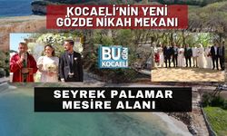 Kocaeli’nin Yeni Gözde Nikah Mekânı: Seyrek Palamar Mesire Alanı