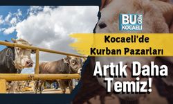 Kocaeli'de Kurban Pazarları Artık Daha Temiz!