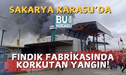 Sakarya Karasu’da Fındık Fabrikasında Korkutan Yangın!