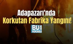 Adapazarı'nda Korkutan Fabrika Yangını!