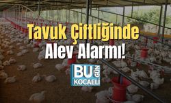 Tavuk Çiftliğinde Alev Alarmı!