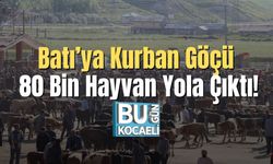 Batı’ya Kurban Göçü: 80 Bin Hayvan Yola Çıktı!