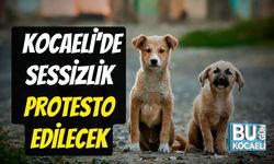 Kocaeli'de Sessizlik Protesto Edilecek
