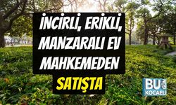 İncirli, Erikli, Manzaralı Ev Satılıyor