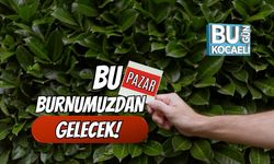Bu Pazar Burnumuzdan Gelecek!
