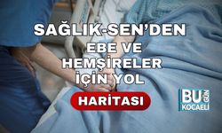 Sağlık-Sen’den Ebe Ve Hemşireler İçin Yol Haritası