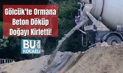 Gölcük'te Ormana Beton Döküp Doğayı Kirletti!