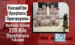 Kocaeli'de Uyuştucu Operasyonu: Narkotik Köpeği 220 Kilo Uyuşturucu Yakaladı