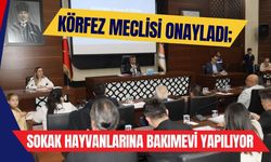 Körfez Meclisi Onayladı; Sokak Hayvanlarına Bakımevi Yapılıyor