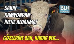 Sakın Kamyondan İnene Aldanma! Gözlerine Bak, Karar Ver