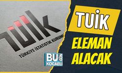 TUİK Eleman Alacak