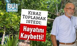 Kiraz Toplamak istedi; Hayatını Kaybetti!