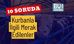 10 Soruda Kurbanla İlgili Merak Edilenler