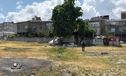 Boş Arazide Erkek Cesedi Bulundu
