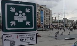 Toplanma Alanı Sayısı Belli Oldu: Yeterli mi?