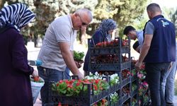 Kartepe'de Mezarlıklarda Çiçek Dağıtıldı