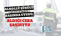 Alkollü Sürücü Direksiyon Başında Uyudu; Aldığı Ceza Şaşırttı!