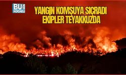 Yangın Komşuya Sıçradı. Ekipler Teyakkuzda