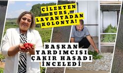 Çilekten Burs, Lavantadan Kolonya! Başkan Yardımcısı Çakır Hasadı İnceledi
