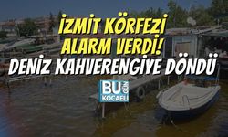 İzmit Körfezi Alarm Verdi! Deniz Kahverengiye Döndü