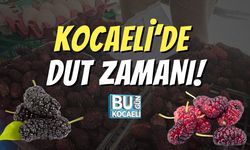 Kocaeli’de Dut Zamanı!
