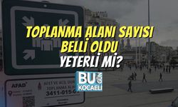 Toplanma Alanı Sayısı Belli Oldu: Yeterli mi?