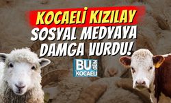Kocaeli Kızılay Sosyal Medyaya Damga Vurdu!