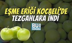 Eşme Eriği Kocaeli'de Tezgahlara İndi