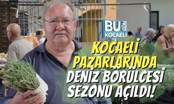 Kocaeli Pazarlarında Deniz Börülcesi Sezonu Açıldı!